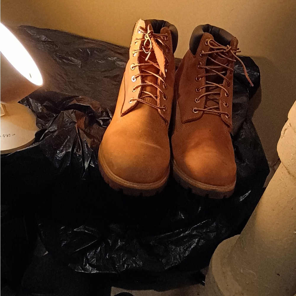 Timberland Men's Brown suede Boots
